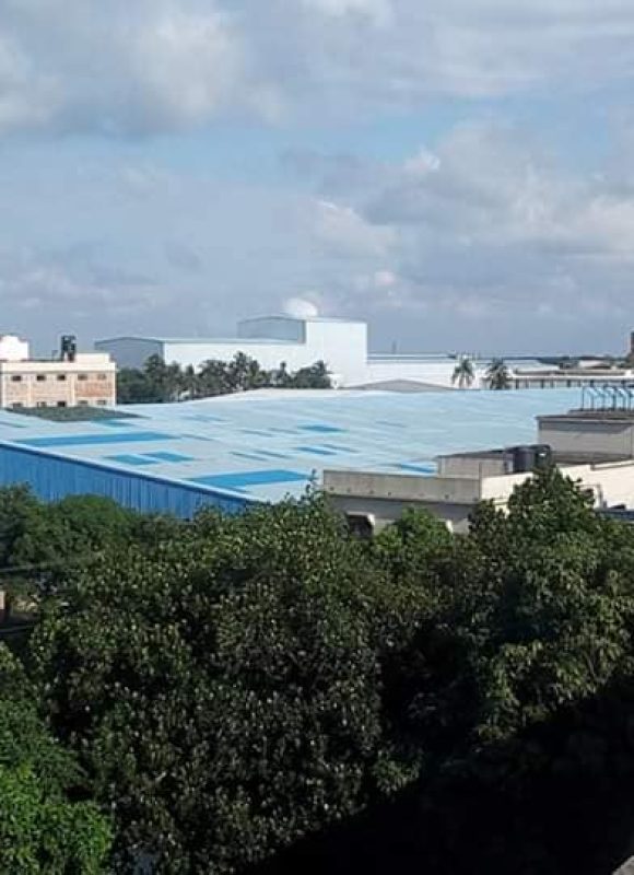 104435038_3296956727195093_7033839252679294374_o